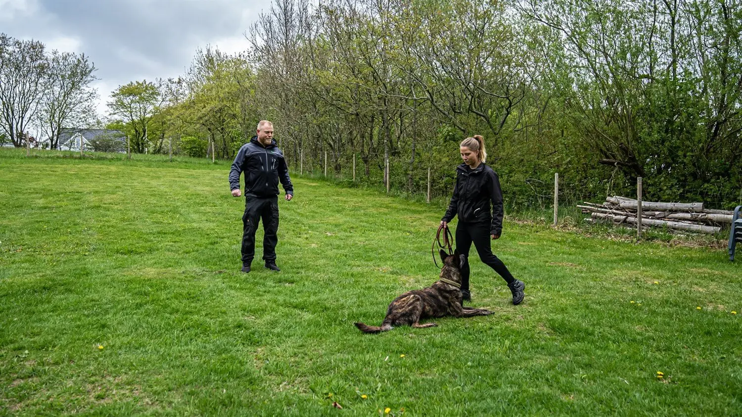 To personer træner en hund i parken