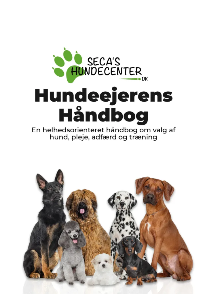 Hunde af forskellige racer foran hundeejerens håndbog